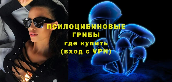 дмт Абаза