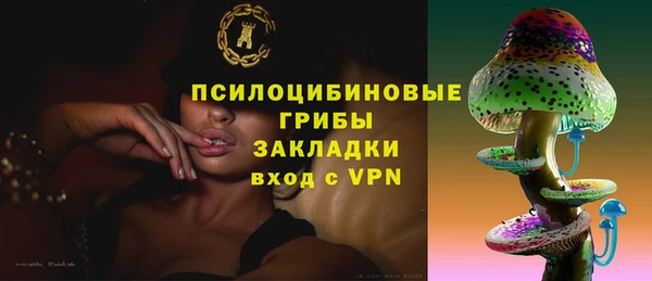 дмт Абаза