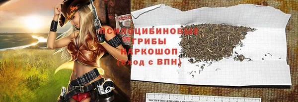 шишки Абдулино
