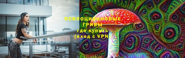 шишки Абдулино